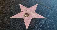 Estrela de Donald Trump na Calçada da Fama - Pixabay