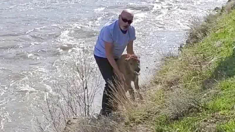 Foto do momento em que o homem interagiu com o filhote - Divulgação/ Governo dos EUA