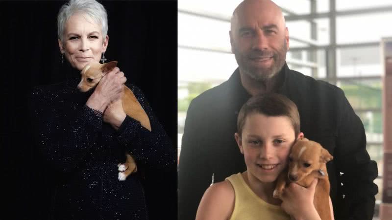 Fotografias de Jamie Lee Curtis (à esq) de John Travolta e seu filho (à dir) juntamente do filhote - Divulgação/ Instagram/ Arquivo Pessoal