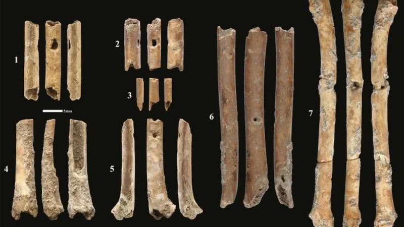 Flautas encontradas em Israel - Divulgação / Laurent Davin