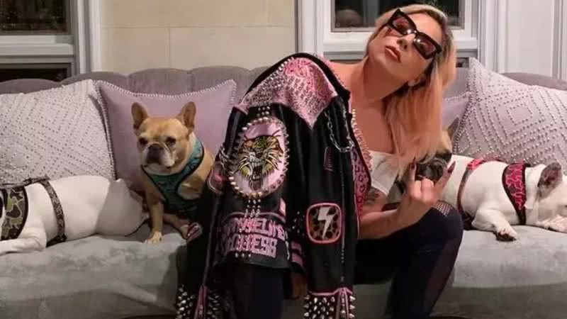 Lady Gaga com seus cachorros de estimação - Divulgação/Instagram