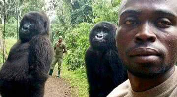 Selfie tirada em 2019 - Divulgação / Mathieu Shamavu / www.virunga.org