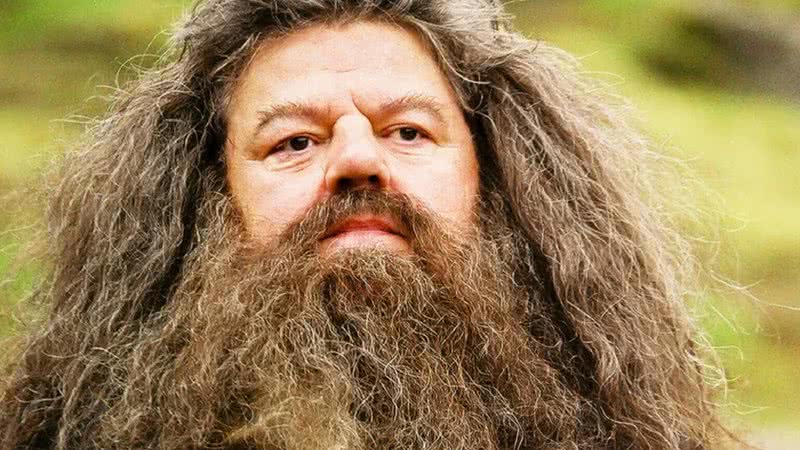 Robbie Coltrane como Hagrid em 'Harry Potter' - Divulgação/ Warner Bros. Pictures