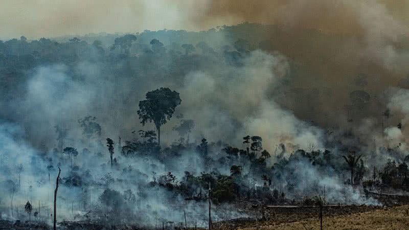 Imagem das queimadas na Amazônia - Divulgação/ Greenpeace/ Victor Moriyama