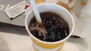 Lagartixa dentro de copo de refrigerante em McDonald's na Índia - Divulgação/Twitter/@Bhargav21001250