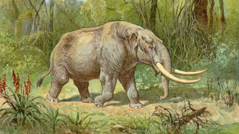 Ilustração de um mastodonte - Wikimedia Commons