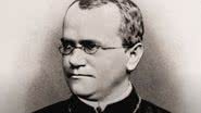 Gregor Mendel completa 200 anos - Divulgação / Youtube / Verve Científica