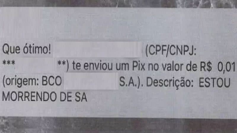 Mensagem enviada via pix por idoso - Polícia Civil