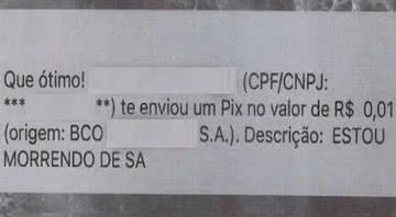 Mensagem enviada via pix por idoso - Polícia Civil