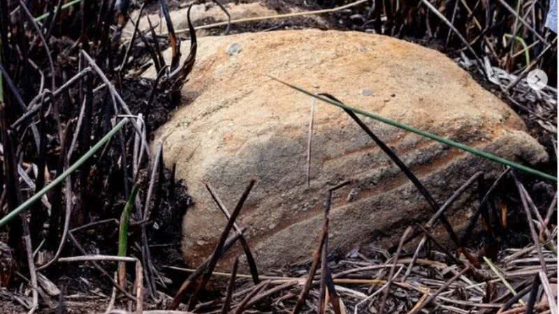 Imagem da descoberta realizada na Ilha de Páscoa, na Polinésia - Reprodução / Instagram