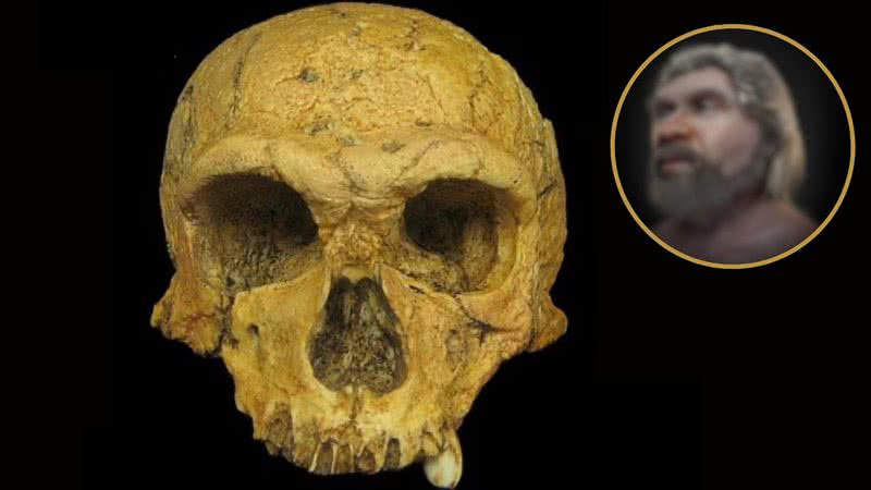 Crânio de neandertal que foi reconstruído - Divulgação