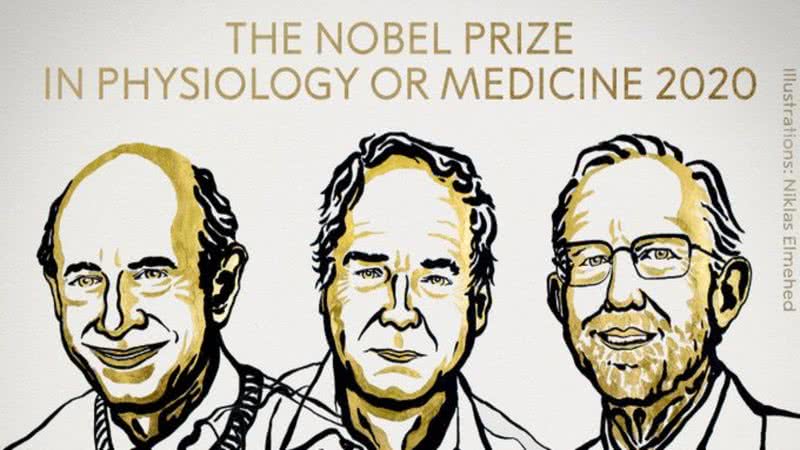 Ilustração de Niklas Elmehed para o Prêmio Nobel de Medicina 2020 - Divulgação / Twitter / NobelPrize