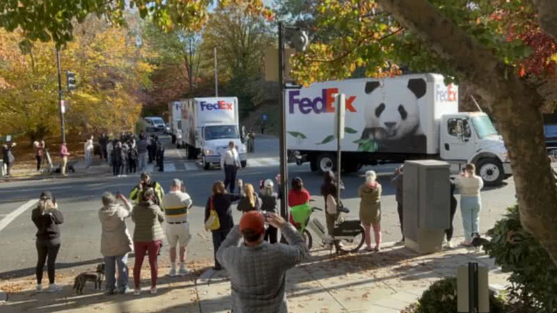 Imagem da família de pandas sendo transportada ao aeroporto - Reprodução/Instagram/@smithsonianzoo