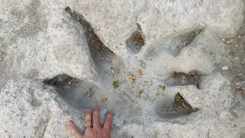 Imagem das pegadas encontradas no rio Paluxy, Texas - Reprodução/Facebook/Dinosaur Valley State Park - Friends