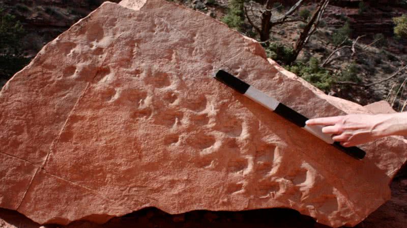 Par de pegadas fósseis em pedra caída encontrada no Grand Canyon - Divulgação / U.S. National Park Service