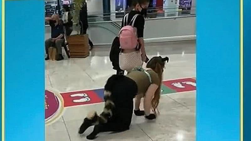 Jovens fazendo 'Pet play' em shopping - Divulgação/ Redes Sociais