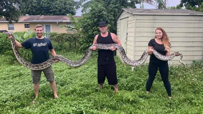 Cobra píton birmanesa capturada no estado da Flórida - Reprodução/Kev Pav/Facebook