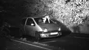 Pomba branca voando na frente do carro em alta velocidade na Alemanha - Divulgação/Viersen District Police