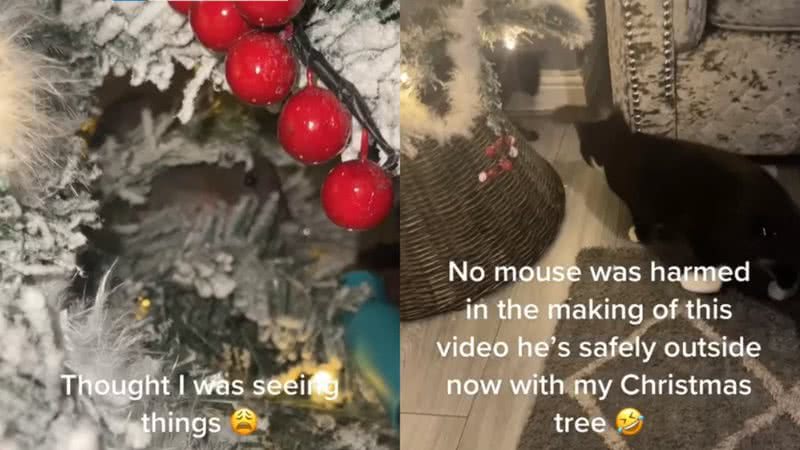 Rato escondido em árvore de natal - Reprodução / Redes Sociais / TikTok