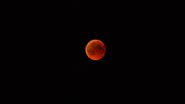 Imagem de uma Lua de Sangue - Pixabay