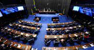 Senado brasileiro - Flickr