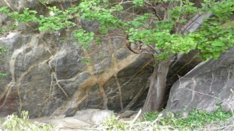 Fotografia do sítio arqueológico - Divulgação / UFPE