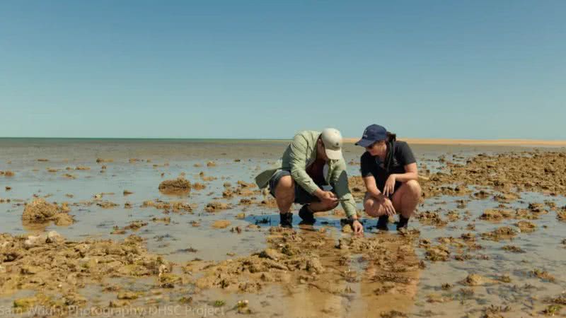 Arqueólogos analisando um dos sítios encontrados na Austrália - Divulgação/Sam Wright