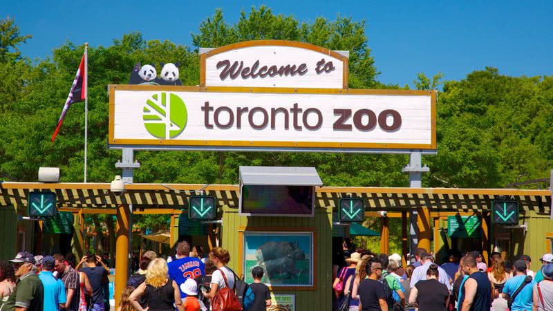 Imagem da entrada do zoológico de Toronto - Divulgação