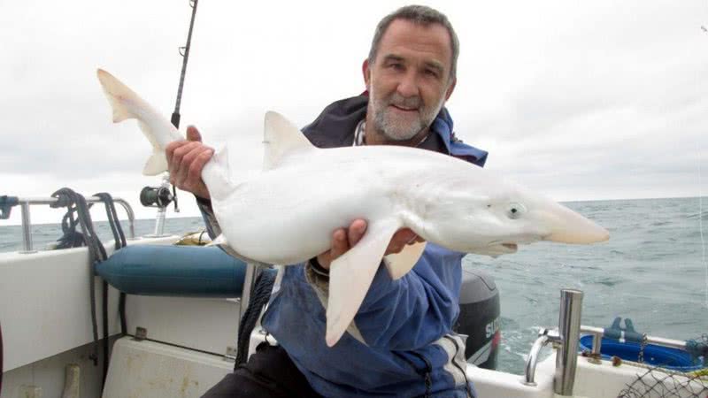 Jason Gillespie com o tubarão albino - Divulgação/SWNS