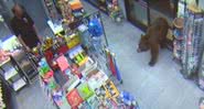 Câmeras de segurança mostram urso invadindo loja nos EUA - Divulgação - Youtube/CBS Sacramento