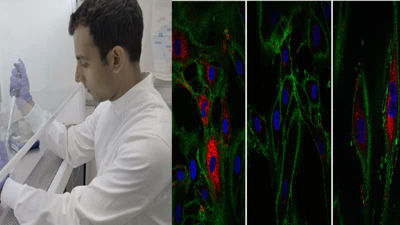 Cientistas trabalhando na fórmula - Babraham Institute