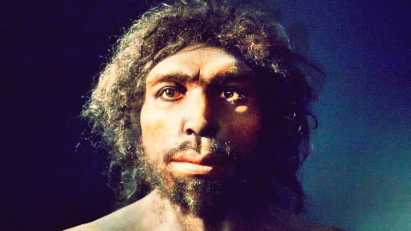 Hominídeo do Pleistoceno Precoce - Wikimedia Commons