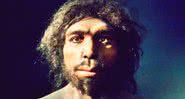 Hominídeo do Pleistoceno Precoce - Wikimedia Commons