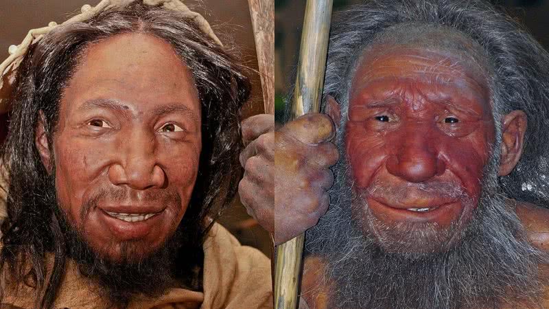 Reconstrução de H. sapiens e Neandertal - Wikimedia Commons