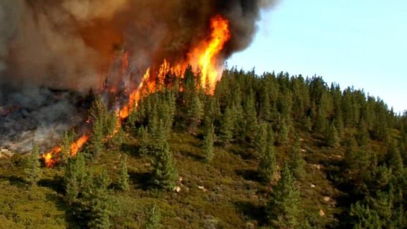 Imagem meramente ilustrativa de incêndio florestal - Wikimedia Commons