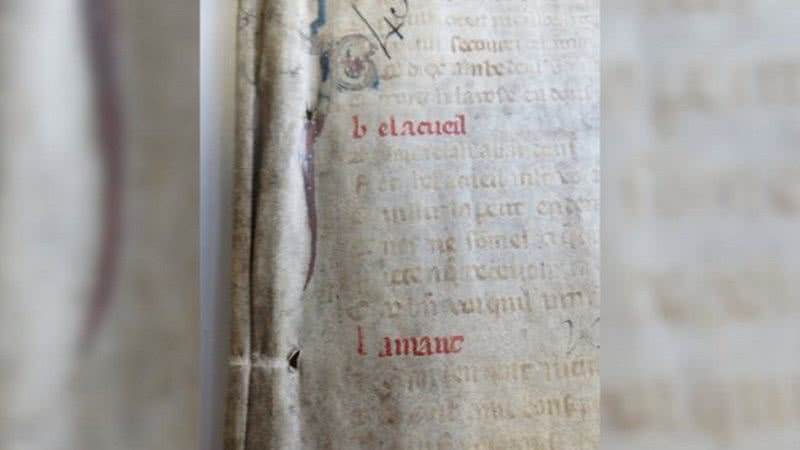 Página do manuscrito Le Roman de la Rose - Diocese de Worcester