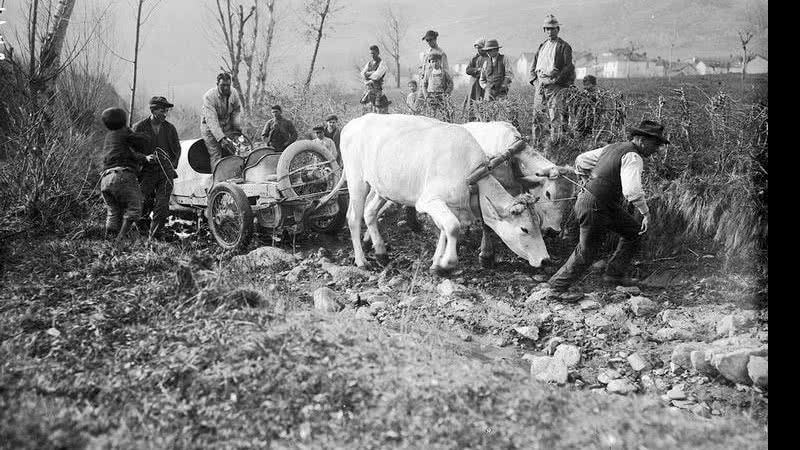 Seguindo a manada: piso duro era caminho seguro na Pré-História - divulg