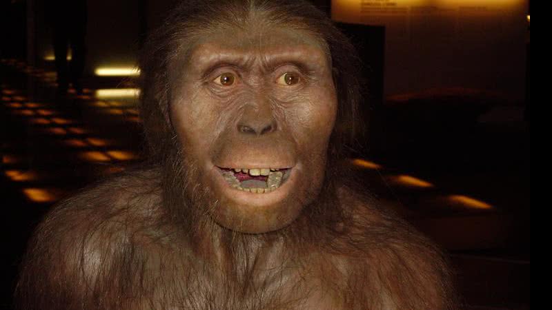  Um Australopithecus afarensis - divulg.