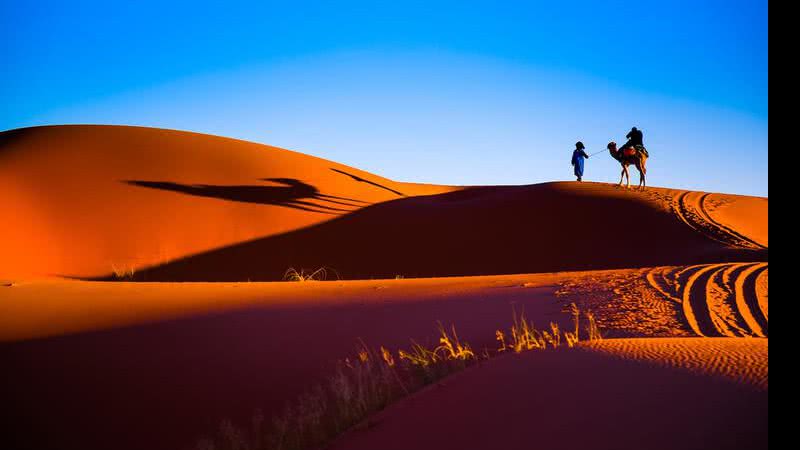 5500 anos atrás, tudo isso era savana - Shutterstock