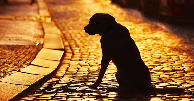 Triste cena provavelmente bem longe da Rua da Amargura real - Shutterstock