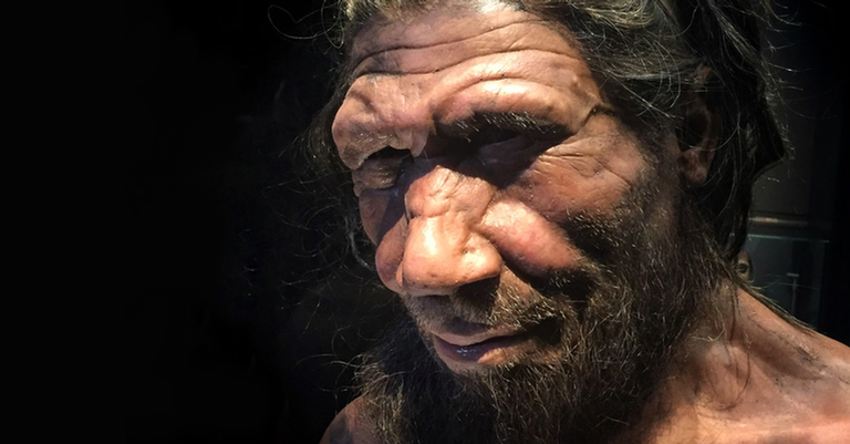 Reconstrução detalhada de um Neandertal - Wikimedia Commons