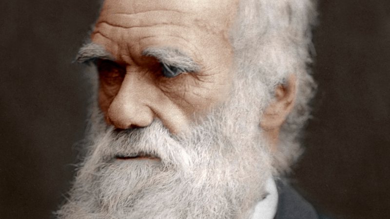 O naturalista Charles Darwin - Getty Images