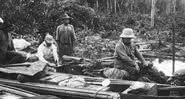 Roosevelt na Amazônia - Library of Congress