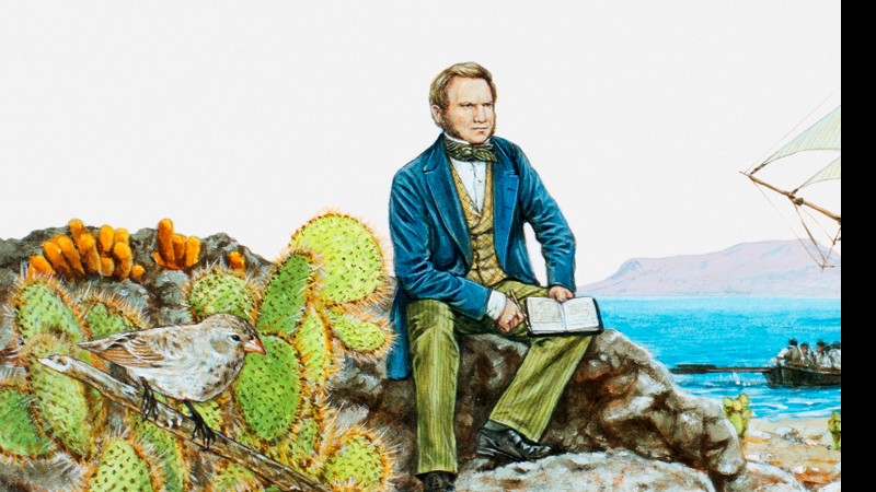 Ilustração de Darwin na Ilha de Galápagos - Getty Images