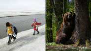 Crianças Inupiat eskimo, parte de populações nativas do Alasca, brincando em 2006 e urso pardo em 2022, na Ucrânia - Justin Sullivan/Getty Images e Leon Neal/Getty Images