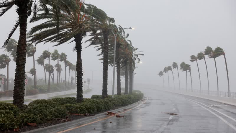 Fotografia de árvores sob fortes ventos do furacão Ian, na Flórida - Getty Images