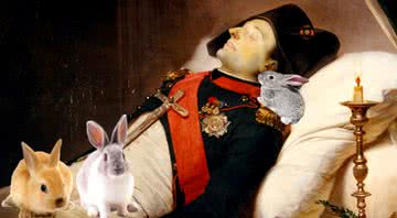 Montagem de Napoleão cercado por coelhos - Divulgação