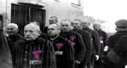 Durante o regime nazista, os homossexuais eram identificados com um triângulo rosa no uniforme - Wikimedia Commons