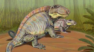 Sphenacodon, um réptil do período Permiano - Wikimedia Commons