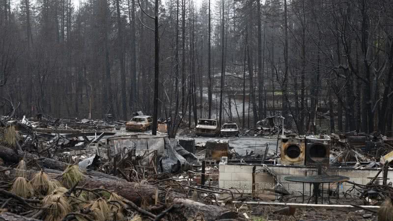 Após os incêndios na Califórnia - Divulgação